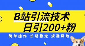 B站引流技术：每天引流200精准粉，简单操作，长期稳定，规避风险-一点通资源网