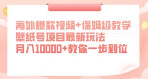 海外爆款视频+保姆级教学,壁纸号项目最新玩法,月入10000+教你一步到位【揭秘】-一点通资源网