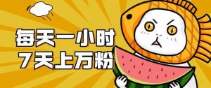 暴力涨粉项目：每天一小时，七天上万粉【揭秘】-一点通资源网