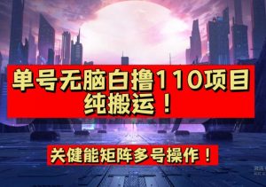 9月全网首发，单号直接白撸110！可多号操作，无脑搬运复制粘贴【揭秘】-一点通资源网