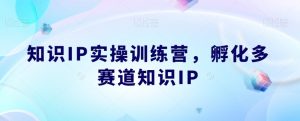 知识IP实操训练营，​孵化多赛道知识IP-一点通资源网