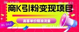 商K引粉变现项目，高客单价精准流量【揭秘】-一点通资源网