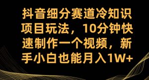 抖音细分赛道冷知识项目玩法,10分钟快速制作一个视频,新手小白也能月入1W+【揭秘】-一点通资源网
