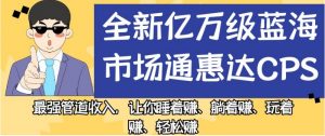 全新亿万级蓝海市场通惠达cps，最强管道收入，让你睡着赚、躺着赚、玩着赚、轻松赚【揭秘】-一点通资源网