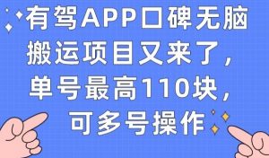 有驾APP口碑无脑搬运项目又来了，单号最高110块，可多号操作-一点通资源网