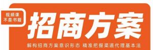 王昕招商方案,解构招商方案意识形态,精准把握渠道代理基本法-一点通资源网