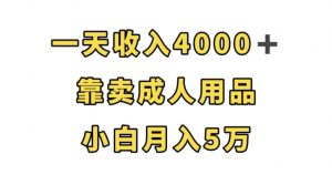 一天收入4000+,靠卖成人用品,小白轻松月入5万【揭秘】-一点通资源网