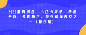 2023蓝海项目,小红书商单,快速千粉,长期稳定,最强蓝海没有之一(新玩法)-一点通资源网