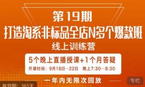 打造淘系非标全店N多个爆款线上课，​5天直播课-一点通资源网