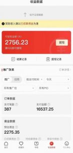 拼多多无人直播不封号玩法，0投入，3天必起，日入1000+-一点通资源网