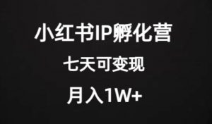 价值2000+的小红书IP孵化营项目,超级大蓝海,七天即可开始变现,稳定月入1W+-一点通资源网