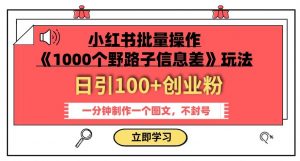 小红书批量操作《1000个野路子信息差》玩法,一分钟制作一个图文,不封号,日引100+创业粉-一点通资源网