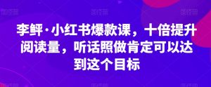 李鲆·小红书爆款课，十倍提升阅读量，听话照做肯定可以达到这个目标-一点通资源网