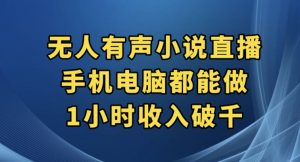 抖音无人有声小说直播，手机电脑都能做，1小时收入破千【揭秘】-一点通资源网