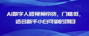 AI数字人短视频带货,门槛低,适合新手小白可做的项目-一点通资源网