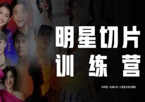 王子·明星切片线上训练营（2023），和明星一起拿红利，让明星为我们赚钱-一点通资源网