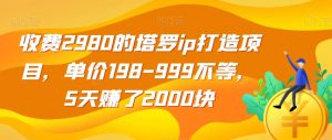 收费2980的塔罗ip打造项目，单价198-999不等，5天赚了2000块【揭秘】-一点通资源网