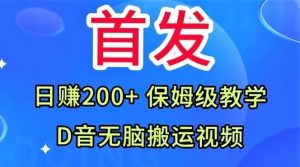 首发,抖音无脑搬运视频,日赚200+保姆级教学【揭秘】-一点通资源网