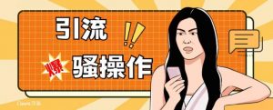 最新引流骚操作，单账号日引50-100，简单粗暴，适合于小白各行各业都可以进行操作，精准粉丝加到爆-一点通资源网