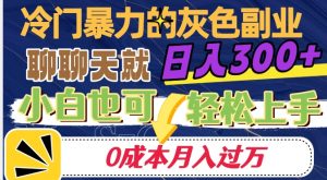 冷门暴利的副业项目，聊聊天就能日入300+，0成本月入过万【揭秘】-一点通资源网