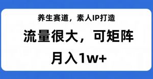 养生赛道,素人IP打造,流量很大,可矩阵,月入1w+【揭秘】-一点通资源网