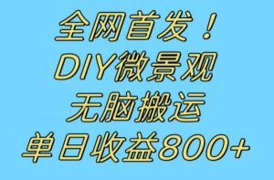全网首发冷门赛道!DIY微景观,无脑搬运视频,日收益800+【揭秘】-一点通资源网