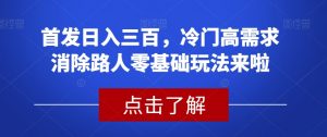 首发日入三百，冷门高需求消除路人零基础玩法来啦【揭秘】-一点通资源网