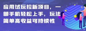应用试玩拉新项目，一部手机轻松上手，玩法简单高收益可持续性【揭秘】-一点通资源网