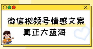 视频号情感文案，真正大蓝海，简单操作，新手小白轻松上手（教程+素材）【揭秘】-一点通资源网