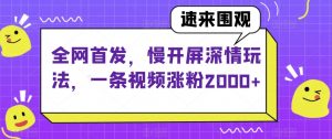 全网首发，慢开屏深情玩法，一条视频涨粉2000+【揭秘】-一点通资源网