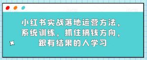 小红书实战落地运营方法，系统训练，抓住搞钱方向，跟有结果的人学习-一点通资源网