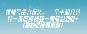 视频号暴力玩法，一个手机几分钟一条原创视频一周收益3800+（附820G视频素材）-一点通资源网