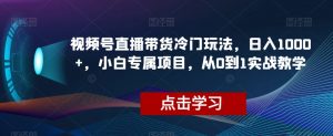 视频号直播带货冷门玩法，日入1000+，小白专属项目，从0到1实战教学【揭秘】-一点通资源网