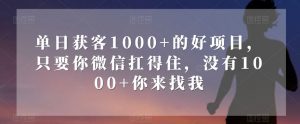 单日获客1000+的好项目，只要你微信扛得住，没有1000+你来找我【揭秘】-一点通资源网