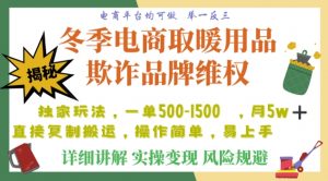 利用电商平台冬季销售取暖用品欺诈行为合理制裁店铺，单日入900+【仅揭秘】-一点通资源网