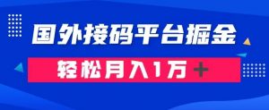 通过国外接码平台掘金：成本1.3，利润10＋，轻松月入1万＋【揭秘】-一点通资源网