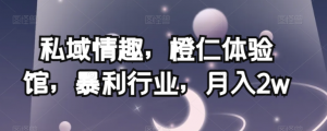 私域情趣,橙仁体验馆,暴利行业,月入2w【揭秘】-一点通资源网