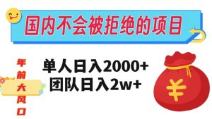在国内不怕被拒绝的项目，单人日入2000，团队日入20000+【揭秘】-一点通资源网