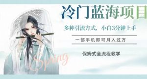 冷门蓝海项目，操作简单，小白3分钟上手，多种引流方式，保姆式全流程教学【揭秘】-一点通资源网