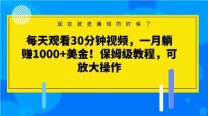 每天观看30分钟视频，一月躺赚1000+美金！保姆级教程，可放大操作【揭秘】-一点通资源网