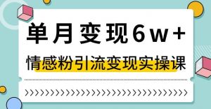 单月变现6W+，抖音情感粉引流变现实操课，小白可做，轻松上手，独家赛道【揭秘】-一点通资源网