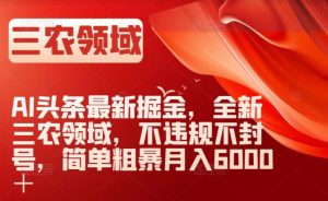 AI头条最新掘金，全新三农领域，不违规不封号，简单粗暴月入6000＋【揭秘】-一点通资源网