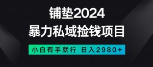 暴力私域捡钱项目,小白无脑操作,日入2980【揭秘】-一点通资源网