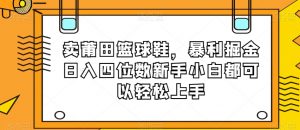 卖莆田篮球鞋，暴利掘金日入四位数新手小白都可以轻松上手【揭秘】-一点通资源网