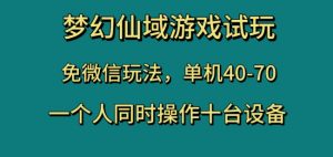 梦幻仙域游戏试玩,免微信玩法,单机40-70,一个人同时操作十台设备【揭秘】-一点通资源网