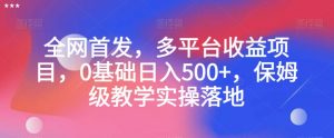 全网首发，多平台收益项目，0基础日入500+，保姆级教学实操落地【揭秘】-一点通资源网