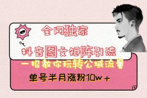 全网独家抖音图文矩阵引流，一招教你玩转公域流量，单号半月涨粉10w+【揭秘】-一点通资源网