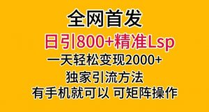 全网首发!日引800+精准老色批,一天变现2000+,独家引流方法,可矩阵操作【揭秘】-一点通资源网