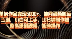 单条作品变现5000+、外网视频搬运二创，小白可上手，10分钟制作爆款高原创视频，矩阵操作【揭秘】-一点通资源网