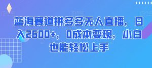 蓝海赛道拼多多无人直播,日入2600+,0成本变现,小白也能轻松上手【揭秘】-一点通资源网